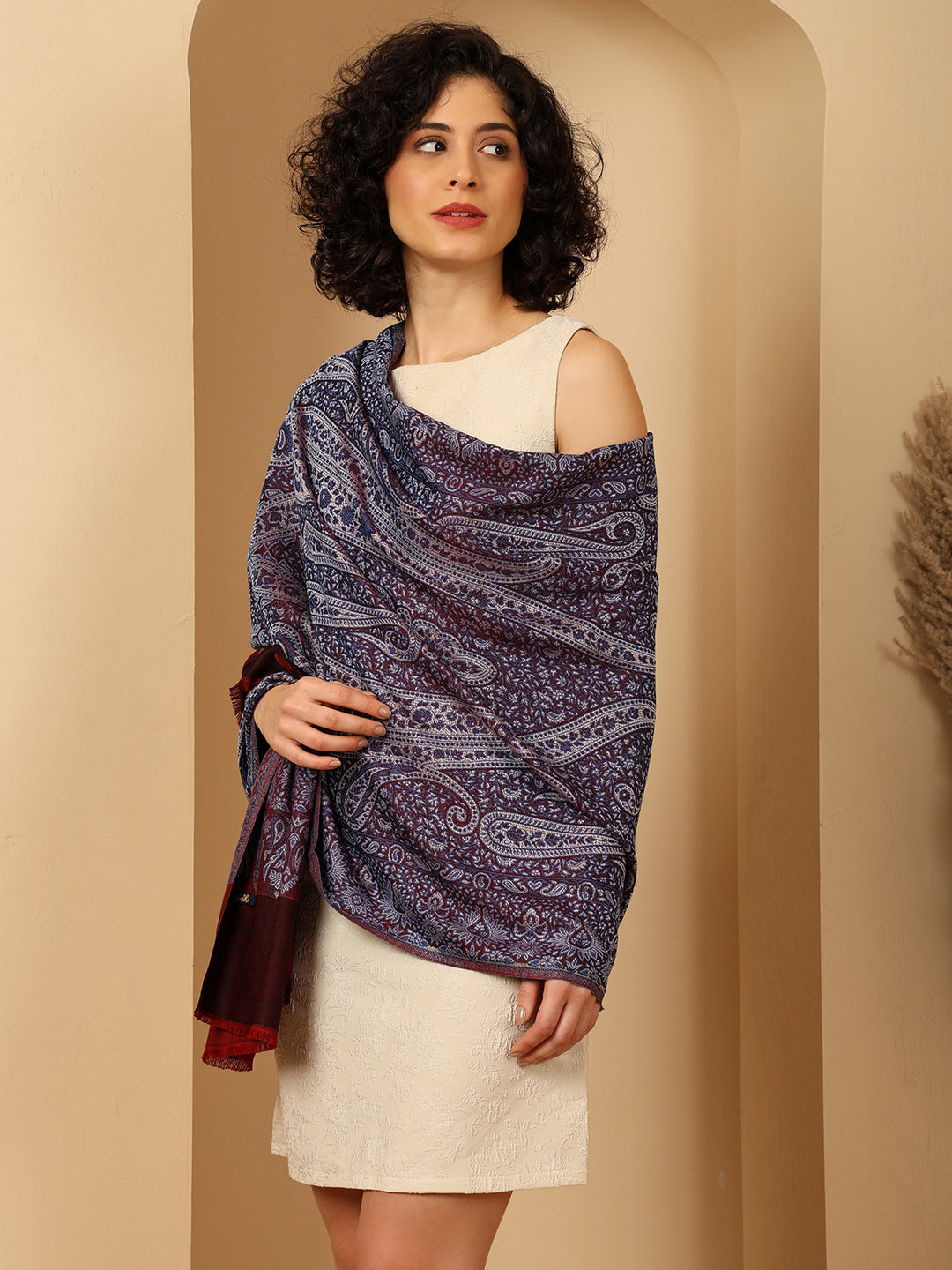 Tweedle Soft Bamboo Modal Stole for Women - Wine