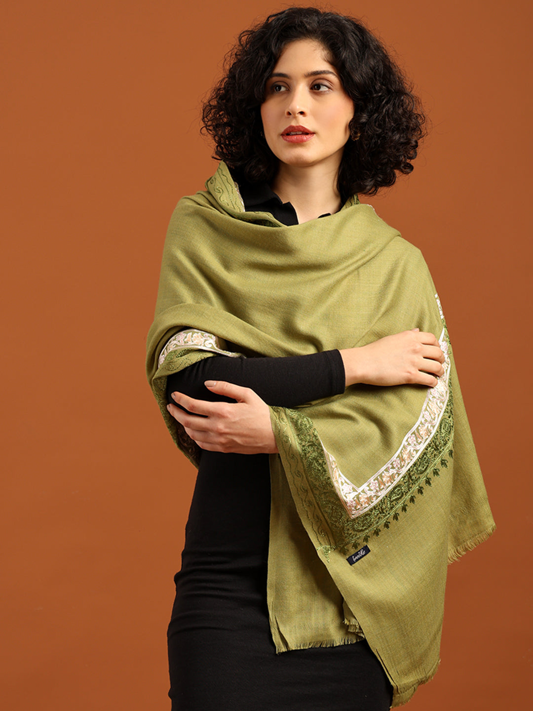 Tweedle Fine Wool Embroidered Stole for Women - Green, Size -28x80