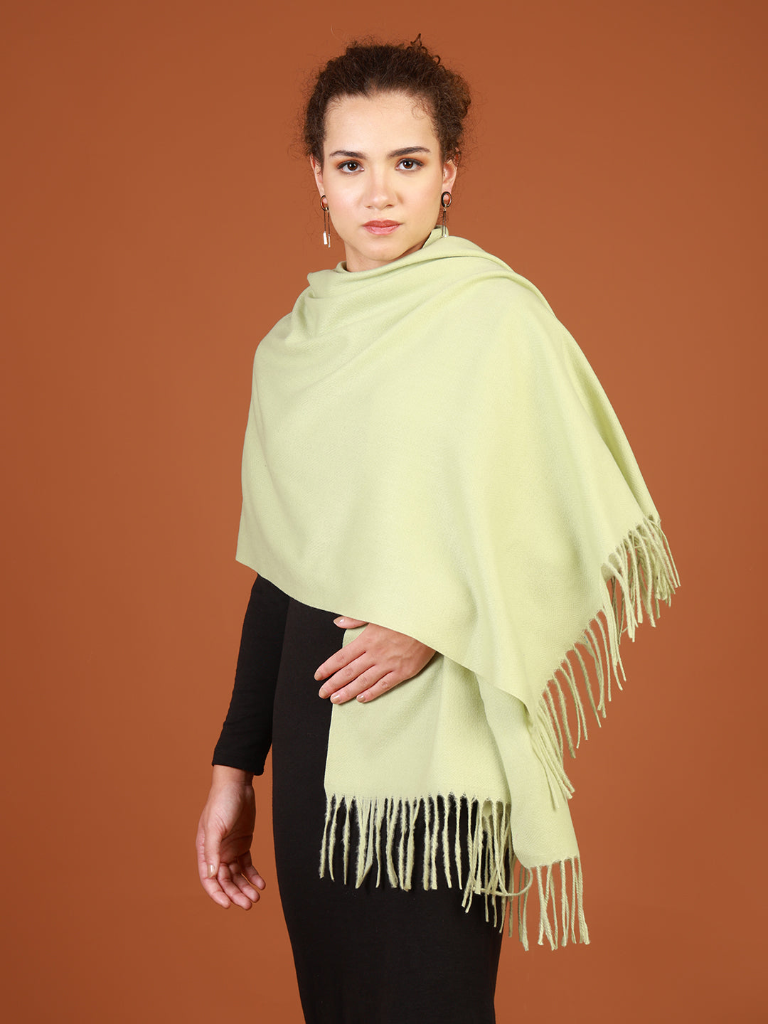Tweedle Women’s Plain Woollen Stole / Scarf – Light Green