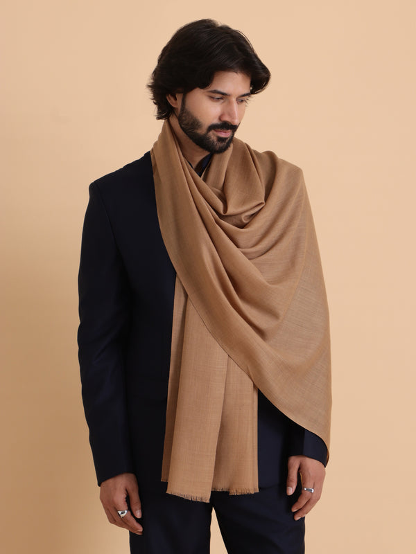 Geometrical Pattern with Plain Palla Shawl for Winters - Beige