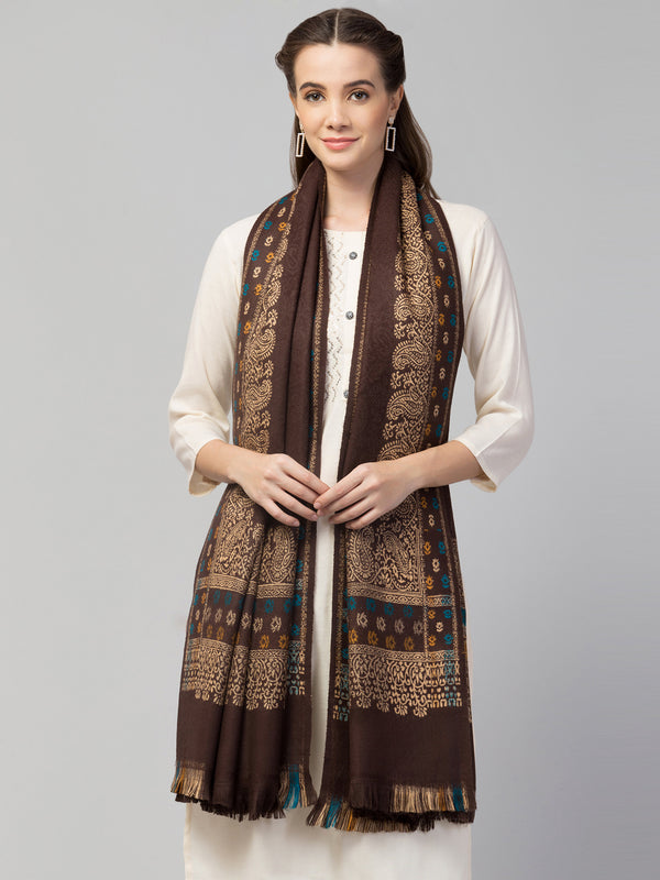 Jamawar Weave Plain Self Design with Border Shawl - Brown